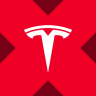 Produktlogo · Tesla xStock